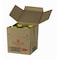Colavita Colavita Pure Olive Oil Plastic Bottle 1 gal., PK4 L57A - alternate 2